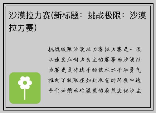沙漠拉力赛(新标题：挑战极限：沙漠拉力赛)